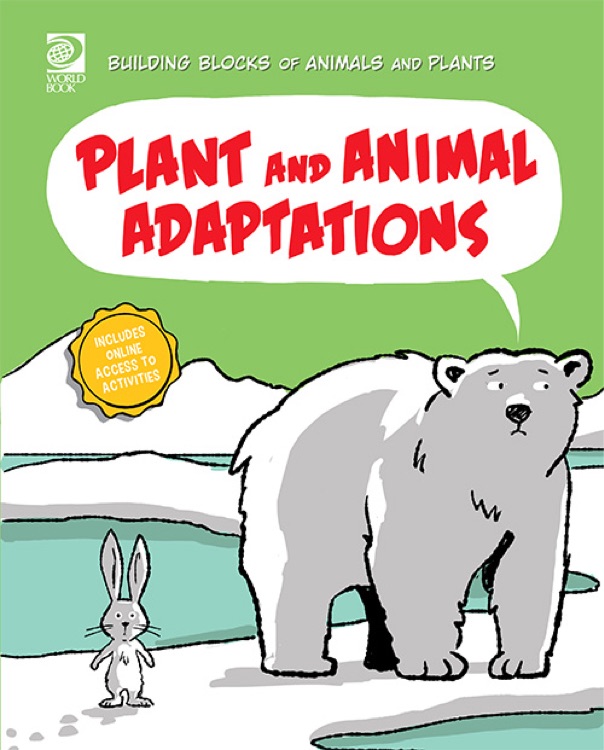 Building Blocks of Animals and Plants: Plant and Animal Adaptions