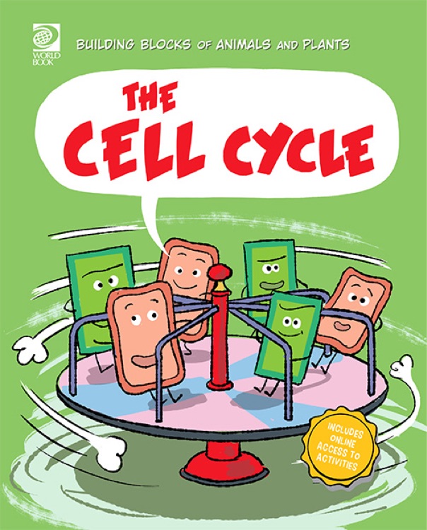 Building Blocks of Animals and Plants: The Cell Cycle