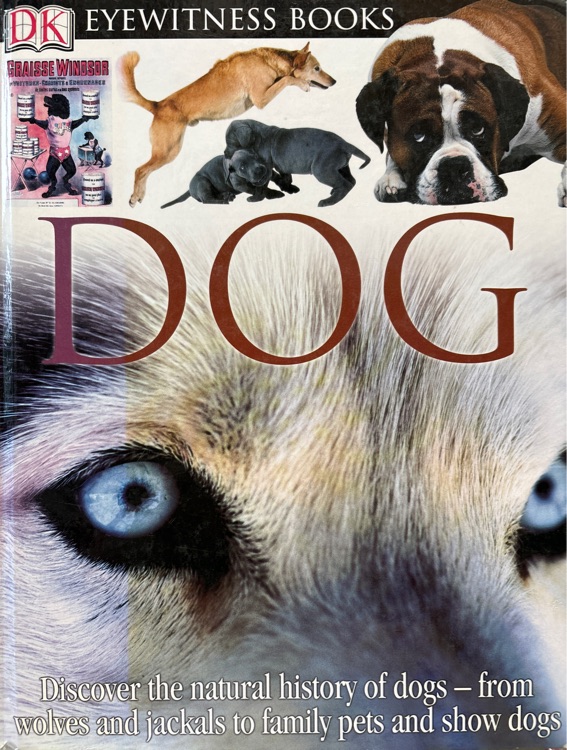 Dog (DK Eyewitness Books)