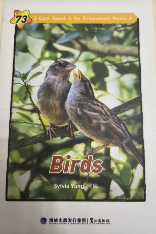 birds