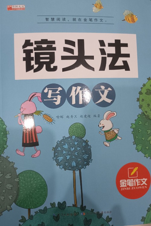 鏡頭法寫作文