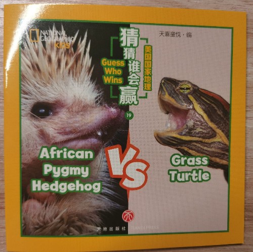 African	Pygmy VS Grass
	Turtle