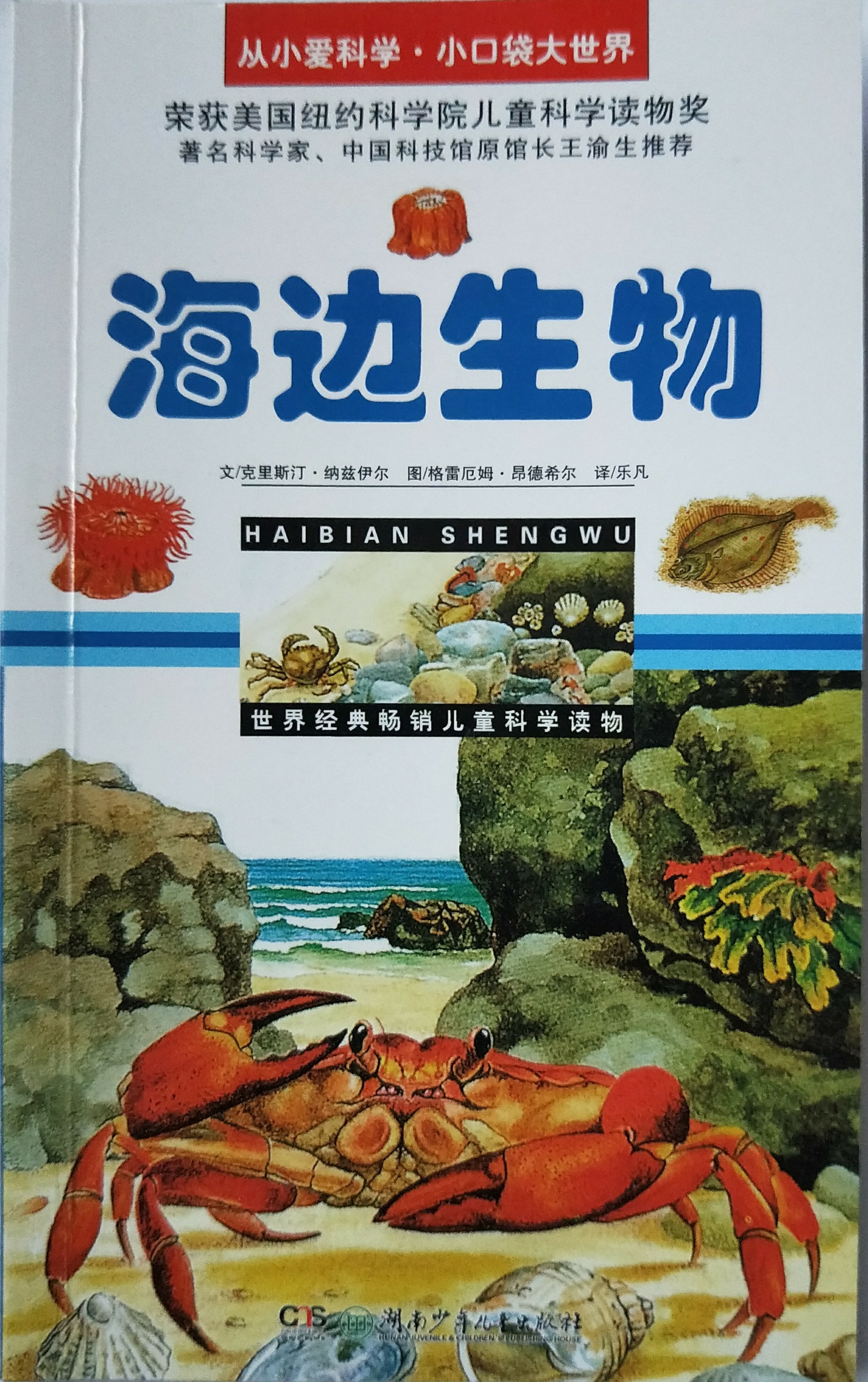 從小愛科學(xué).海邊生物