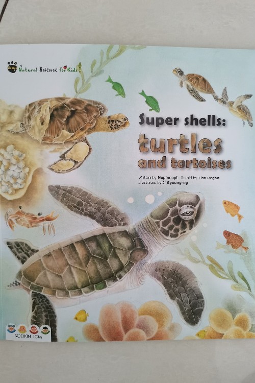 super shells:turtles and tortoises