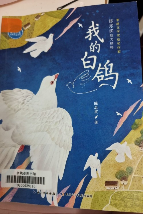 我的白鴿