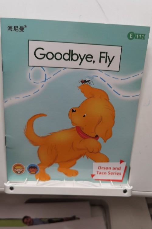 goodbye fly