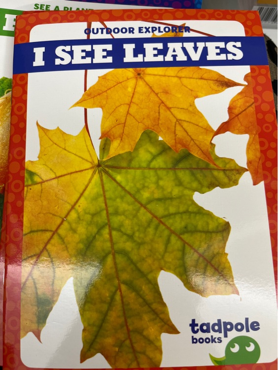 I see leaves