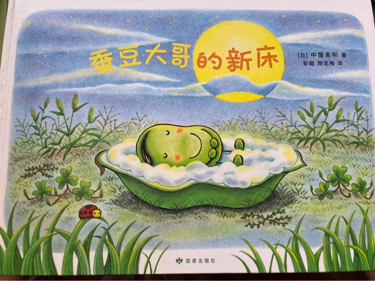 蚕豆大哥的新床