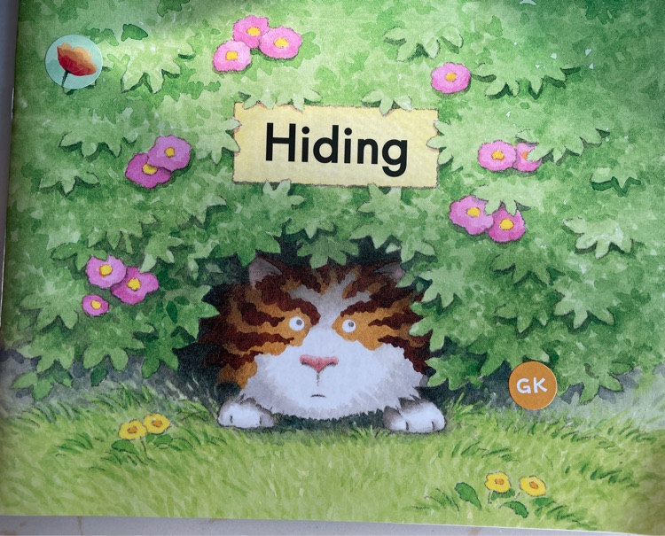 Hiding