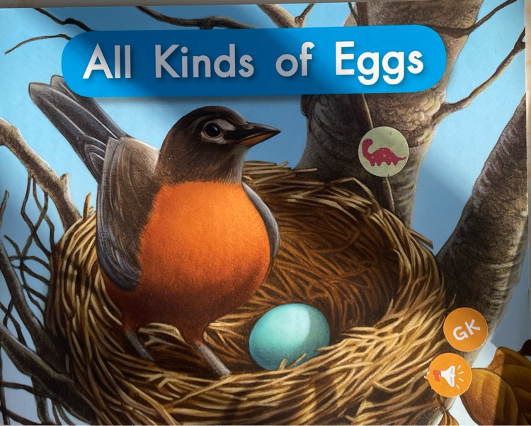 All Kinds of Eggs