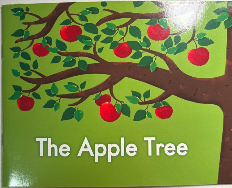 The apple tree