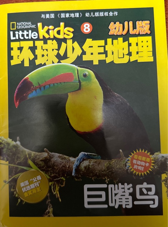 環(huán)球少年地理巨嘴鳥