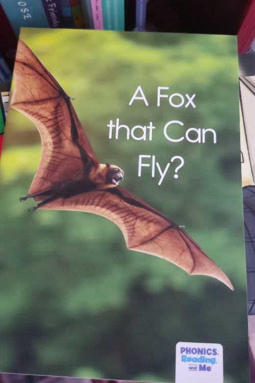 a fox that can fly