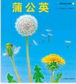 我身邊的大自然: 蒲公英