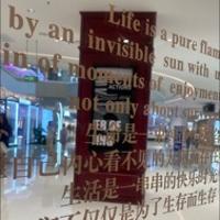 小米愛看書
