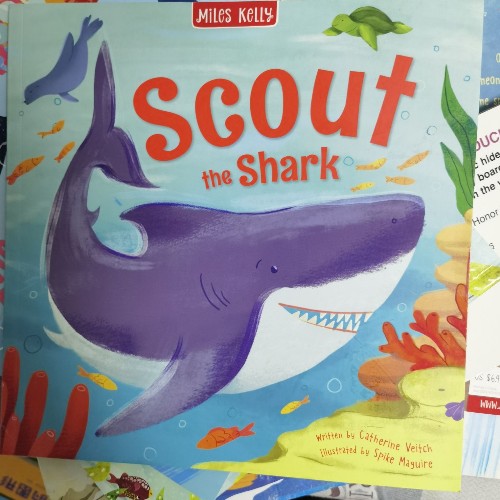 scout the shark