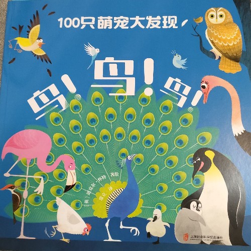 100只萌寵大發(fā)現(xiàn): 鳥(niǎo)鳥(niǎo)鳥(niǎo)