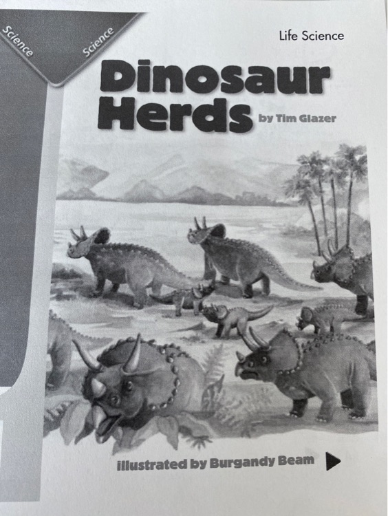 Dinosaur Herds