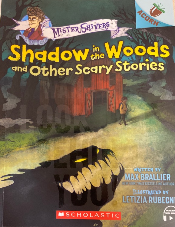 Shadow in the Woods and Other Scary Stories