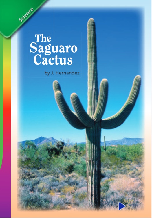 The saguaro cactus