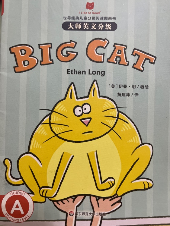 big cat