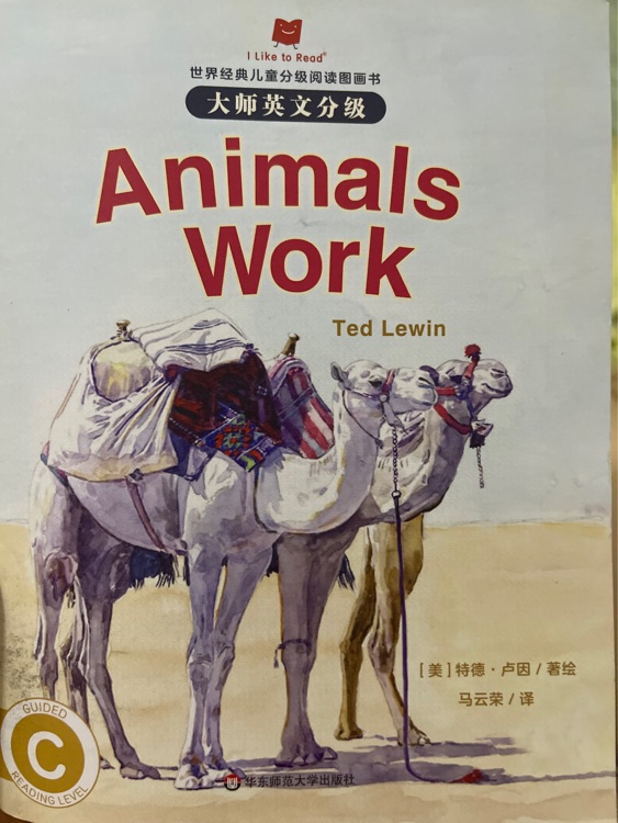 animals work