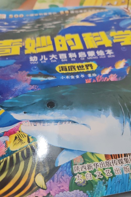 海底世界
