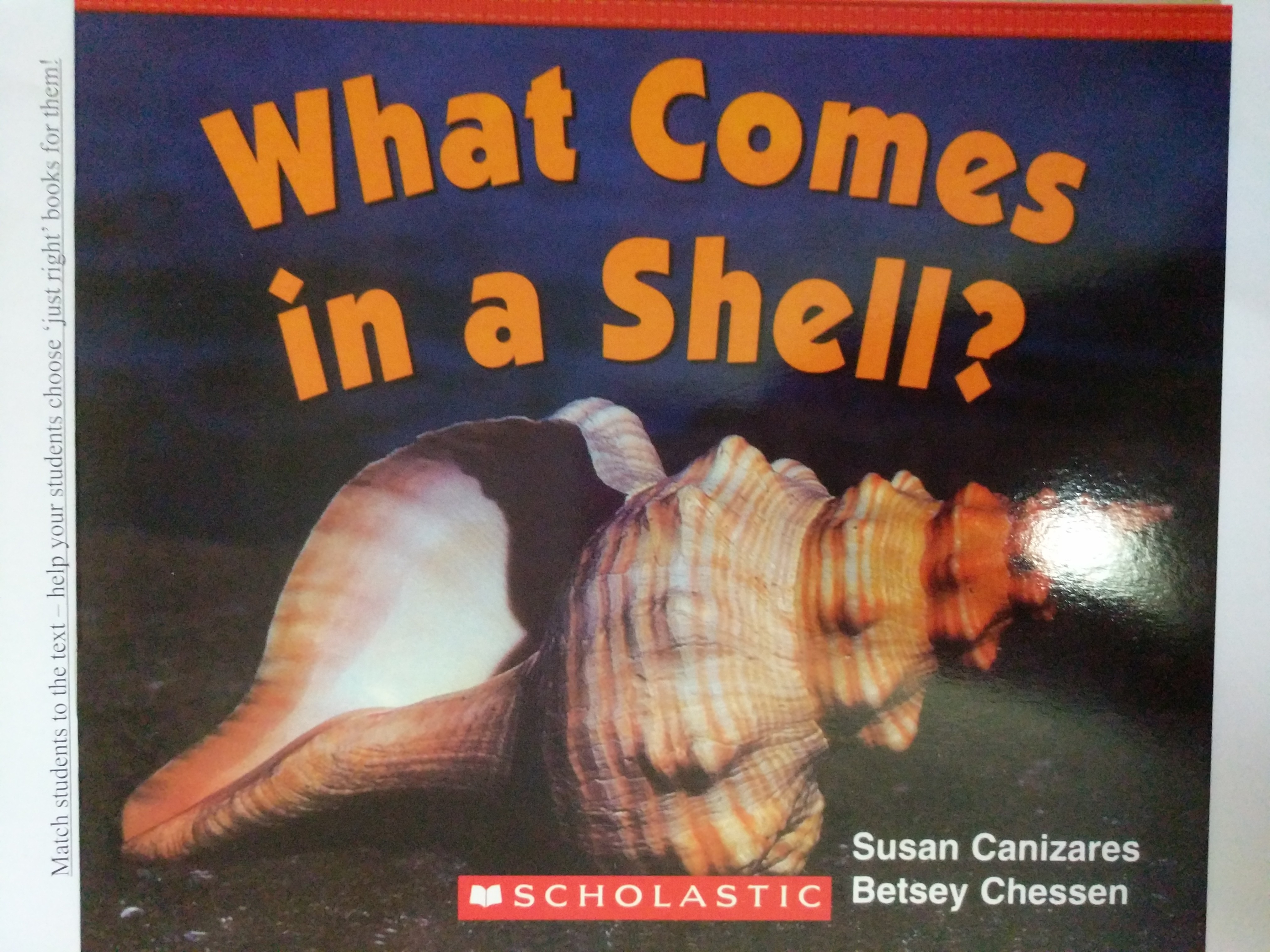 What Comes in a Shell?(Scholastic)