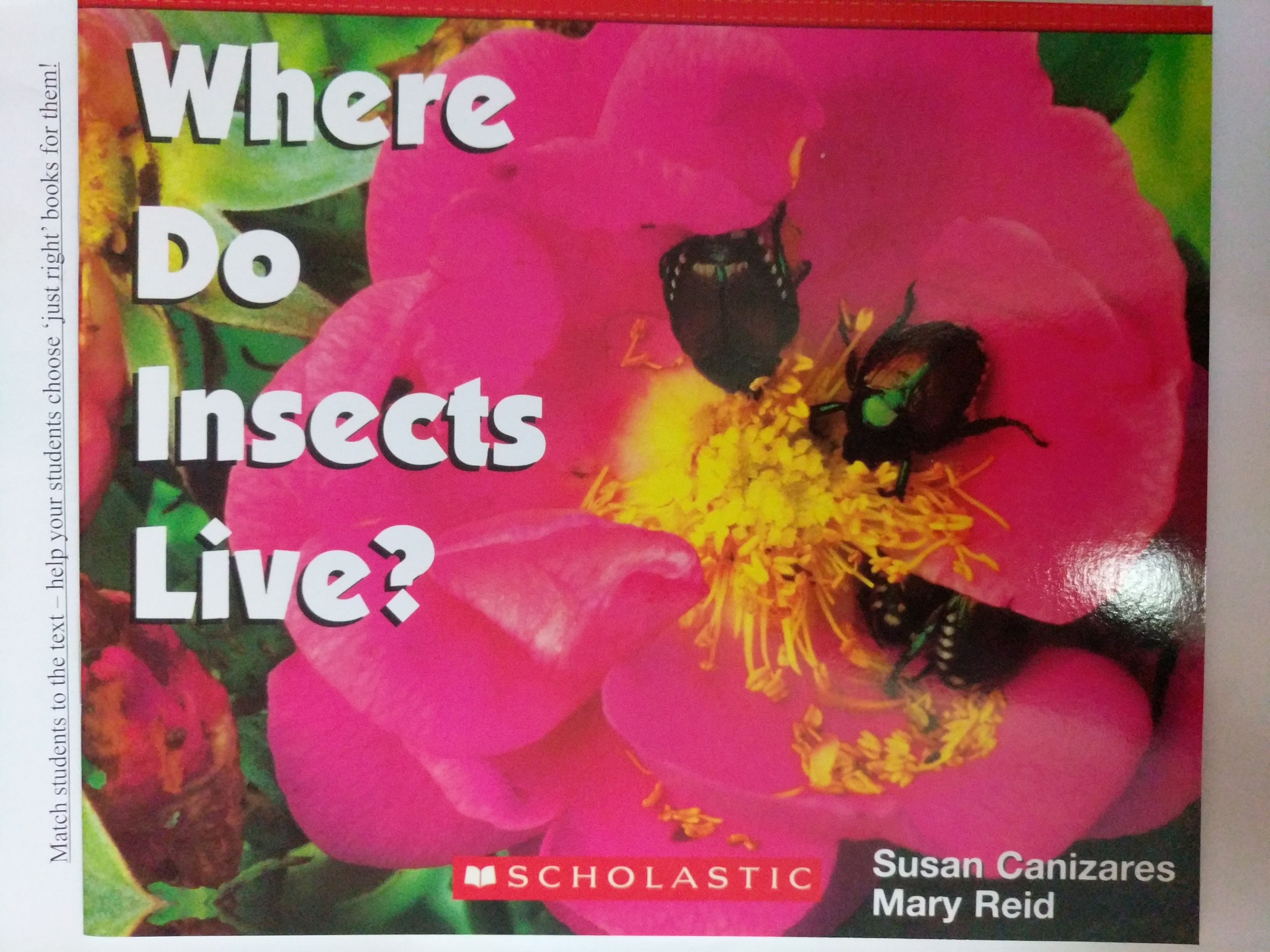 where do insects live?