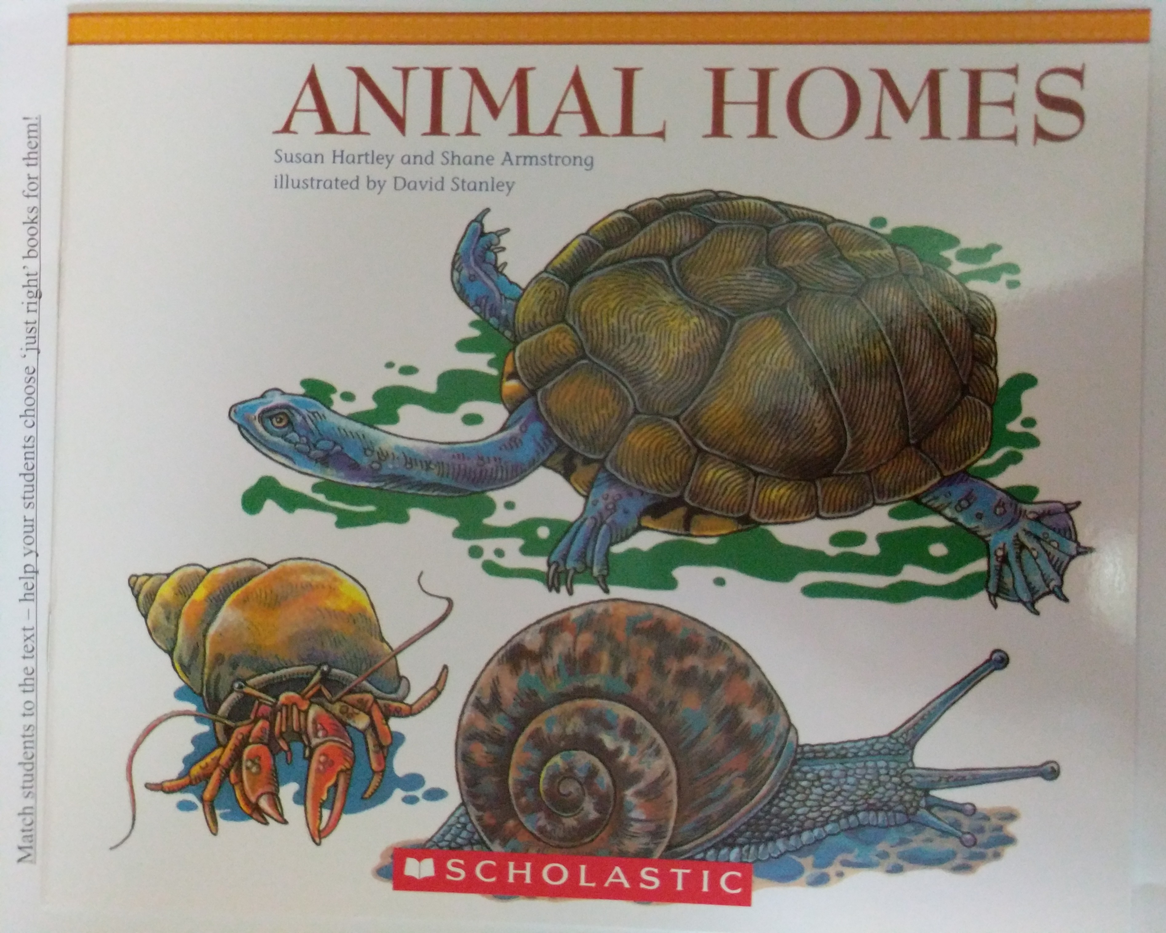 animal homes