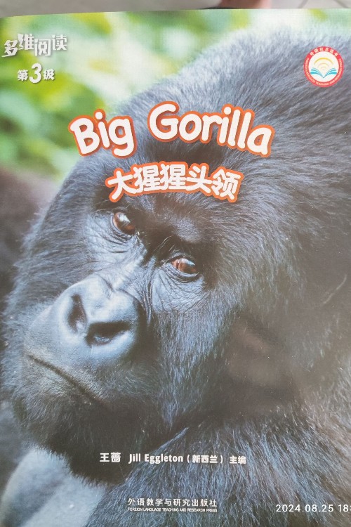 big gorilla