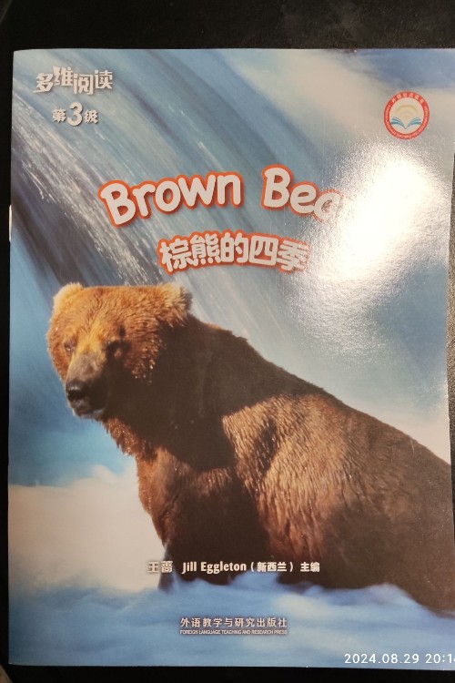 brown bear