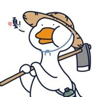群星閃耀時