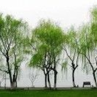 暖9568544878