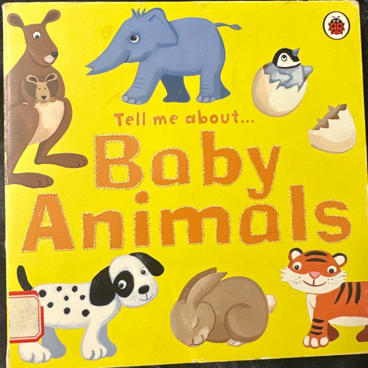 tell me about baby animals