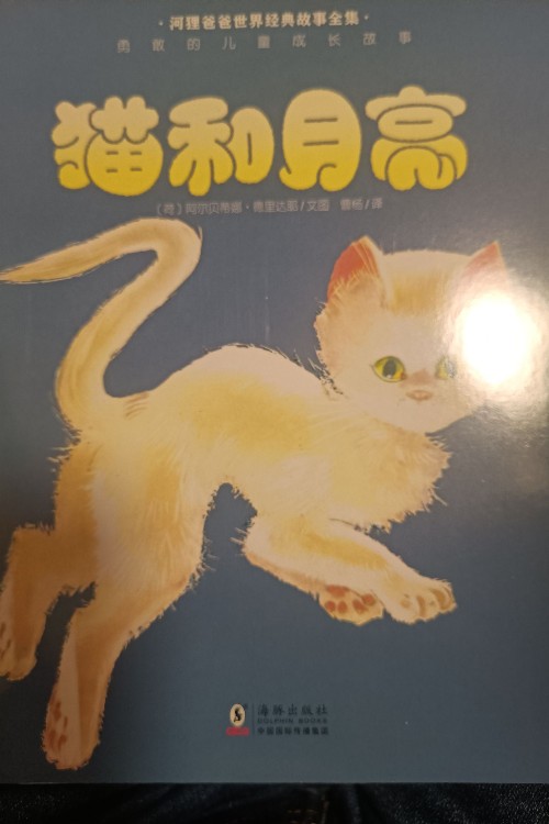 貓和月亮