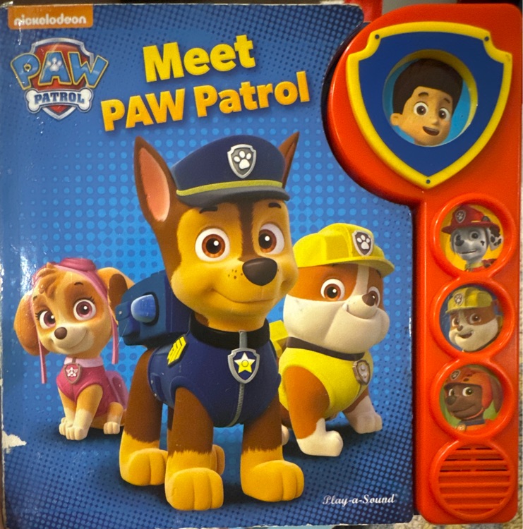 Meet Paw Patrol