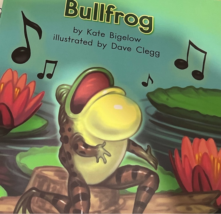 Bullfrog