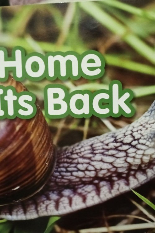 a home on its back