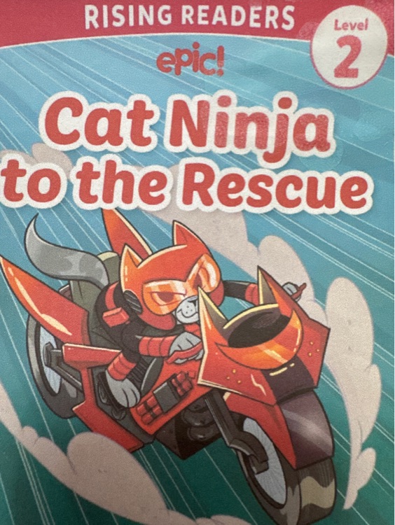 cat ninja to the rescue