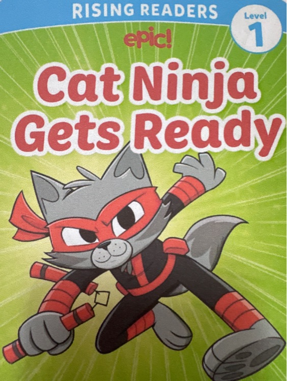 cat ninja gets ready