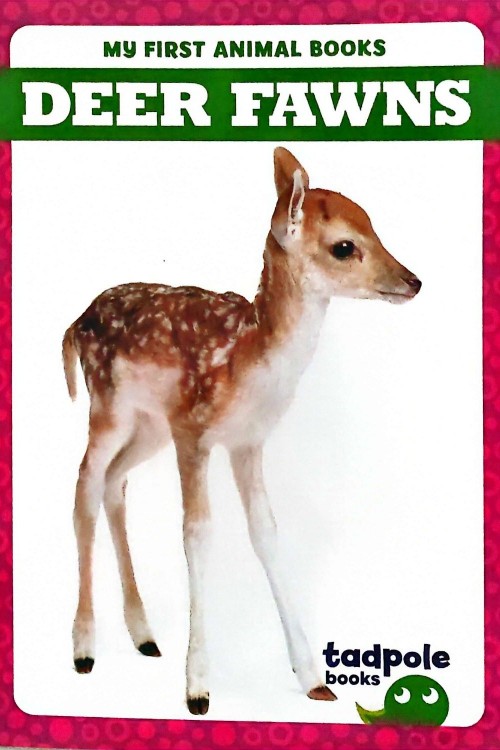 Jump Tadpole Book Graded Level PreK-1 (My Fisrt Animal Books Deer Fawns)