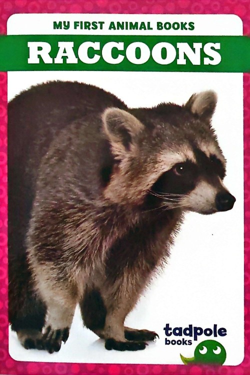 Jump Tadpole Book Graded Level PreK-1 (My Fisrt Animal Books Raccoons)