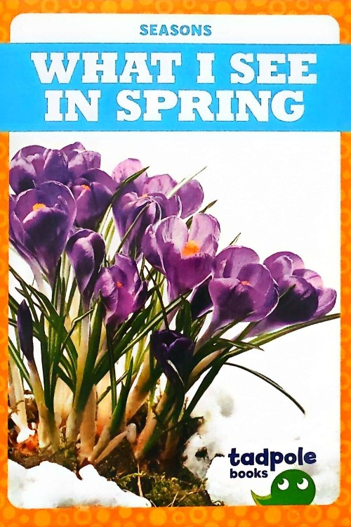 Jump Tadpole Book Graded Level PreK-1 (Seasons:What I See in Spring)