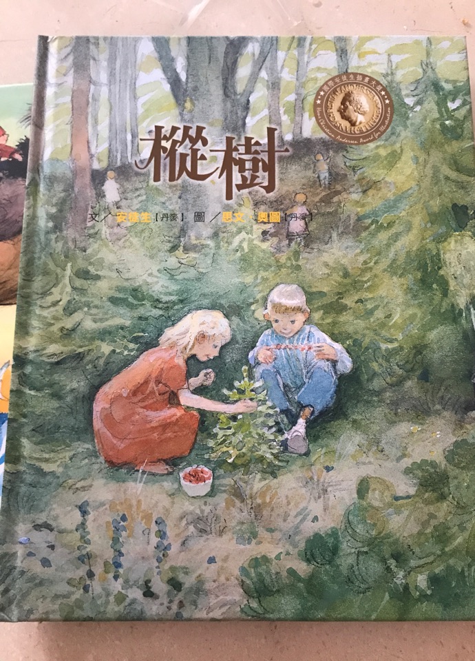 樅樹