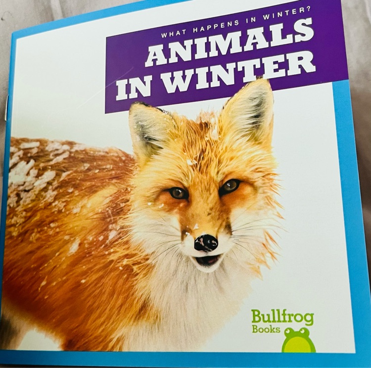 Animals in winter