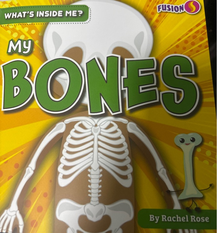 My BONES