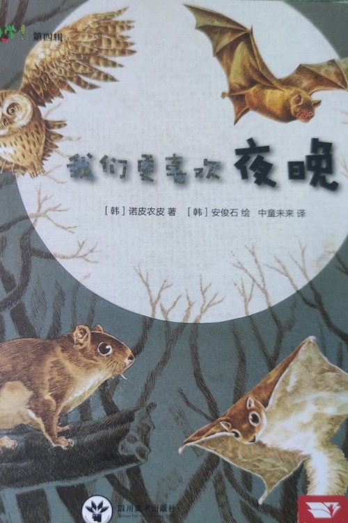 我們更喜歡夜晚