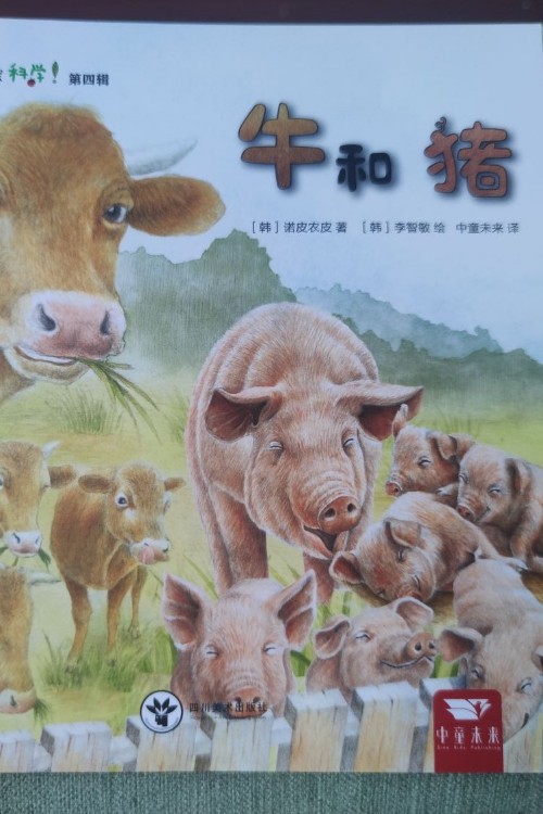 牛和豬