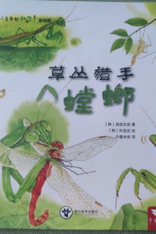 草叢獵手螳螂